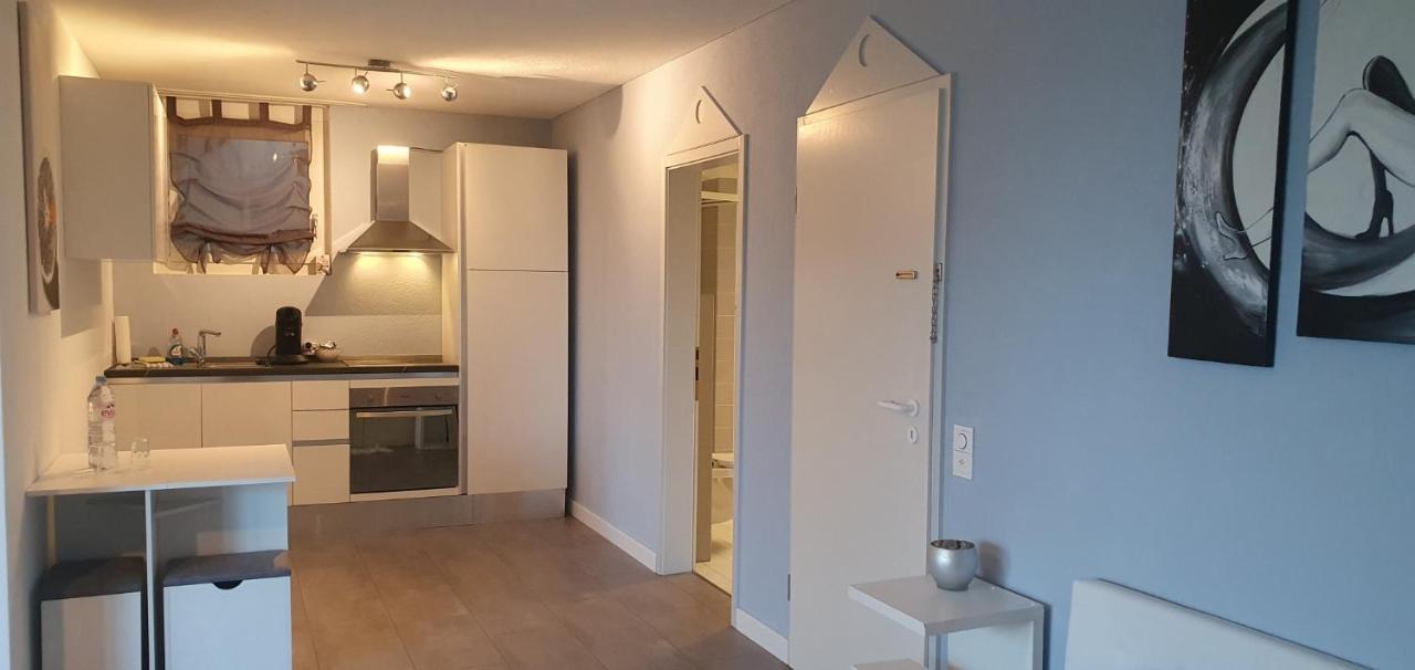 Ferienwohnung Am Bodensee Mit Seesicht Und Wellness Rorschacherberg Exterior photo